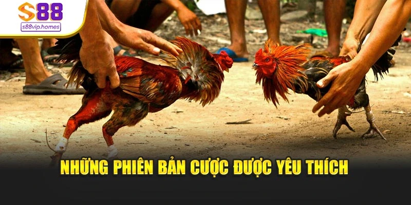 Những phiên bản cược được yêu thích